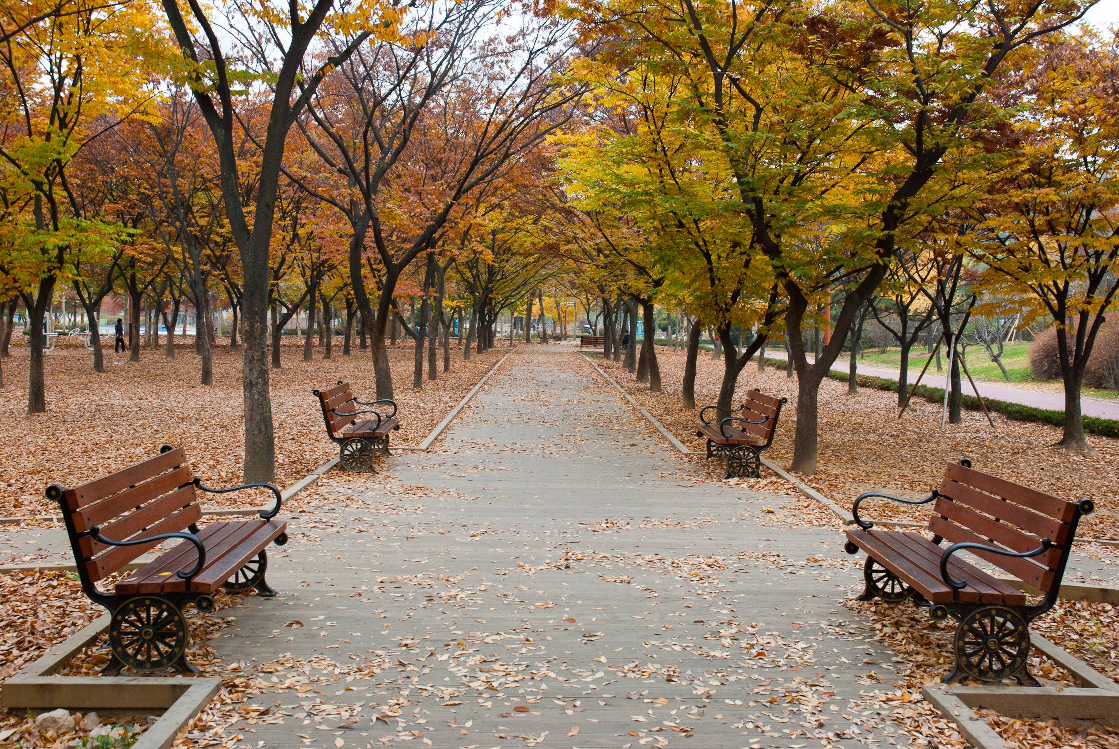 [HanCinema Korea's Diary] Park Culture in Korea @ HanCinema :: The