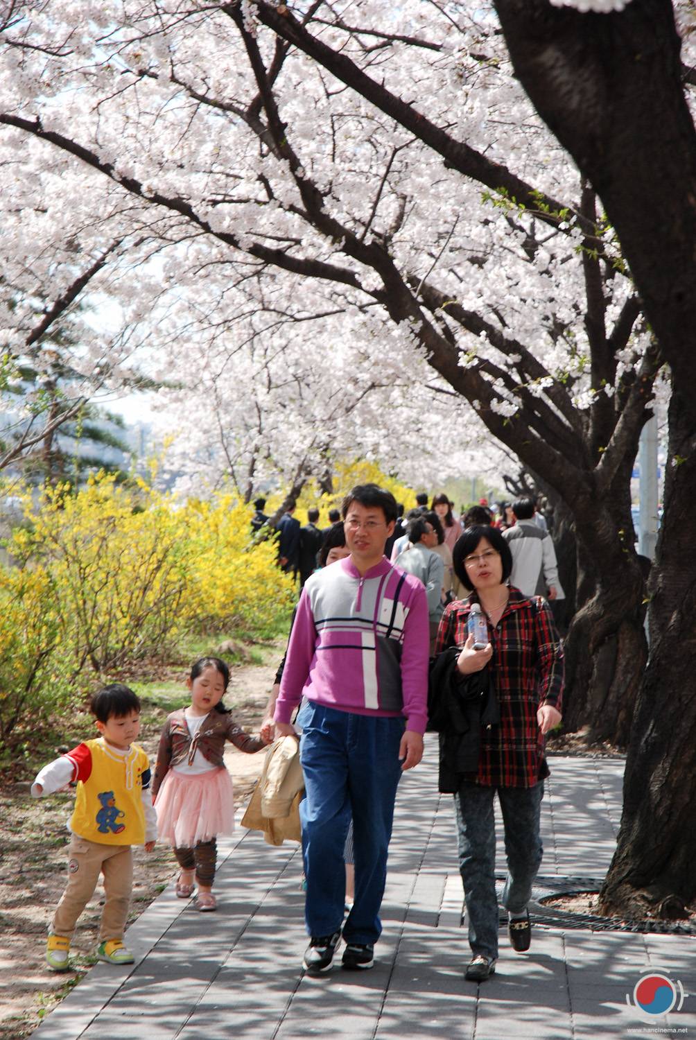 Spring Korea