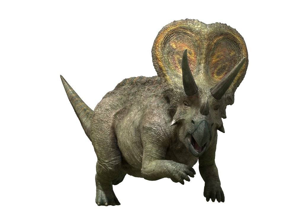 Dino King Torosaurus.