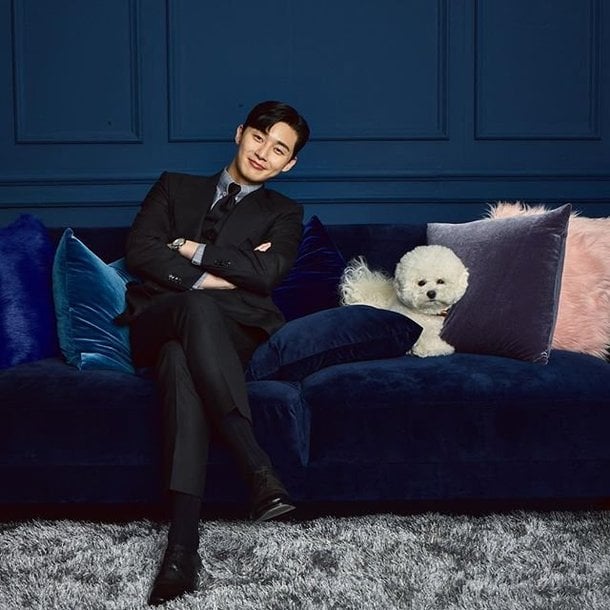 What S Wrong With Secretary Kim Park Seo Joon Poses With A Handsome Furry Friend Hancinema